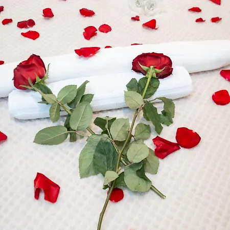 아파트 Boho House Skadarlija *